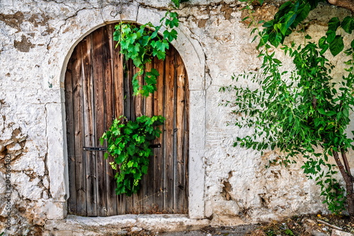 Door and vine