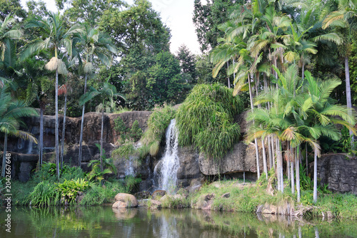 A scenic tropical waterfall surrounded by lush green palm trees and rock formations at Kershaw Gardens in Rockhampton, Queensland, Australia