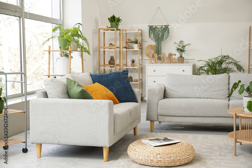 Stylish living room with ho...