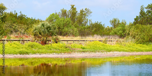 Eco Pond in Everglades National Park Florida