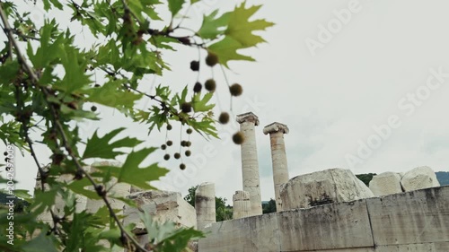 Ancient Ionic Columns Of The Temple Of Artemis In Sardis Salihli