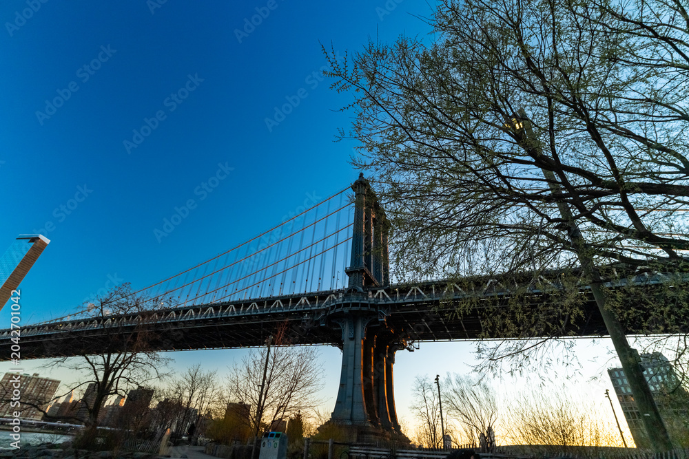 Fototapeta premium Manhattan Bridge
