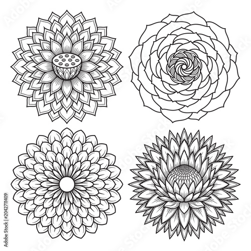 Botanical mandala flower illustrations set with botanical circular ornament