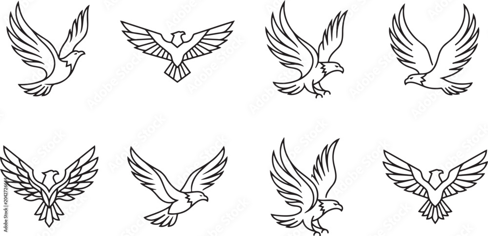 Fototapeta premium Eagles and birds of prey in flying poses