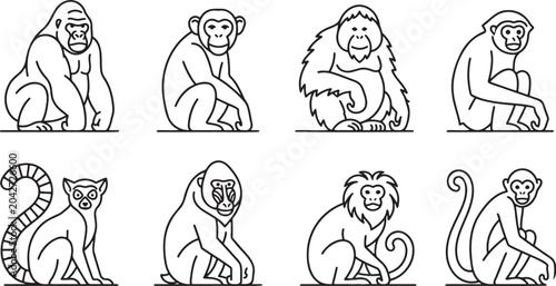 Billede på lærred Monkey and primate species variety icons