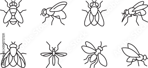 Tableau sur toile Collection of flies and insects in nature