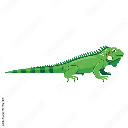 Fotografía Green Iguana Iguana iguana vector color drawing featuring a large arboreal herbivorous lizard species