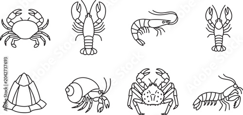 Schilderij op canvas Crustaceans and shell creature collection