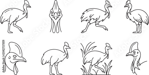 Bild auf Leinwand Cassowary and flightless bird icons