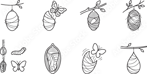 Konstfotografi Butterfly life cycle and metamorphosis icons