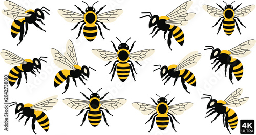 Canvas Print Bees, black and yellow striped insects with transparent wings, flying, on white background, 4K resolution graphic resource