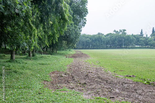 Cleared soil corridor running along a public park field. Brown mulch trail marks maintenance work beside green lawn. Rough ground path for restoration and land care themes