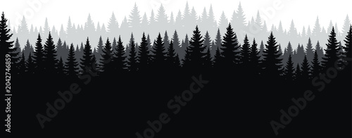 Silhouette of a coniferous pine forest with layered evergreen trees in monochrome black and white for nature background vector illustration