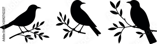 Canvastavla Birds Silhouette Set on Tree Branches with Leaves Black Bird Vector Illustration