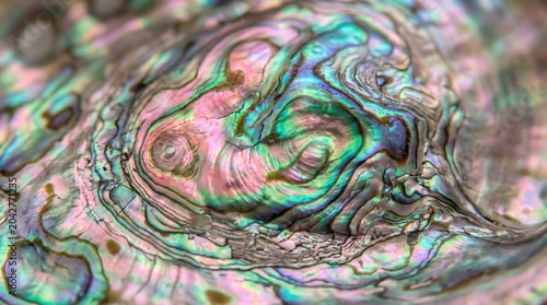 Vibrant iridescent abalone shell texture background