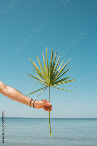Man Holding Tropical Palm Leaf Florida Coast