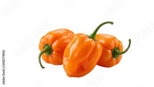 Fresh Orange Habanero Peppers Isolated on Transparent Background