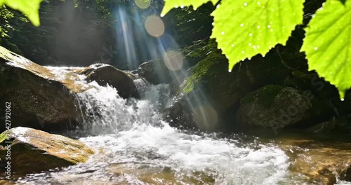 Serene waterfall cascading over rocks in a lush green forest with sunlight filtering through leaves