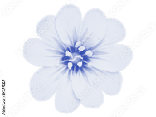 Single blooming flower in blue halftone style with texture, vintage print aesthetic. Delicate botanical illustration featuring soft petals and monochrome dot pattern. Flower daisy. Vector illustration