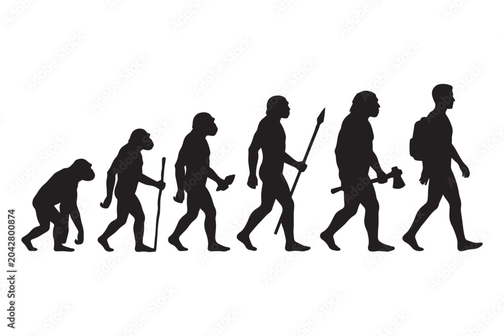 Fototapeta premium Human evolution silhouette from ape to modern man