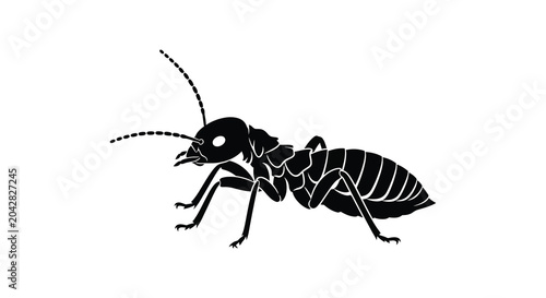 Foto Ant silhouette black insect outline on white background