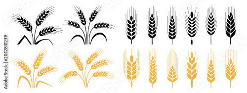 Cuadro en lienzo Barley and Wheat Icon Set with Golden Grain Silhouettes, Rice Symbols and Harves