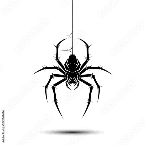 Black Spider Hanging on Web Silhouette.