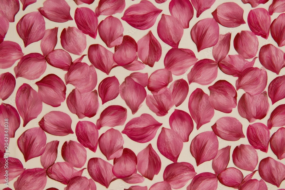 Obraz premium Magenta flower petals scattered in a dense pattern on a cream textured surface in a top-down macro shot for beauty and wedding marketing