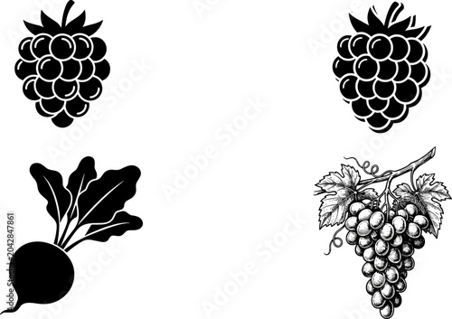 Obraz na plátně Fresh berries and root vegetable icon set featuring raspberry blackberry beetroo