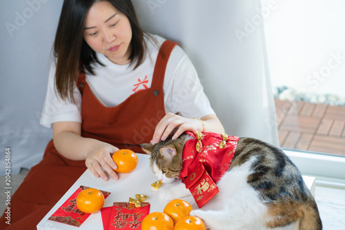 chinese new year concept with asian woman play with cat wearing red chinese traditional cloth with red envelope orange and gold on table