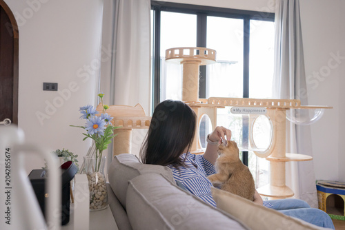 pet lover concept by asian woman she work and play with her cat
