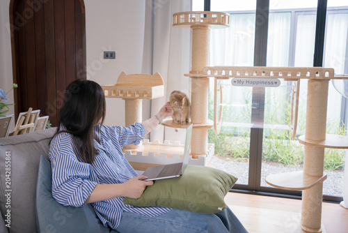 pet lover concept by asian woman she work and play with her cat