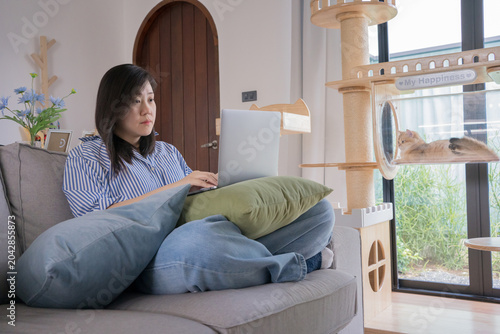pet lover concept by asian woman she work and play with her cat