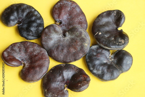 A collection of hard, dark brown Enterolobium contortisiliquum (Earpod tree) seeds, famously known for their distinct ear-like or kidney-shaped appearance. The textured botanical specimens are scatter