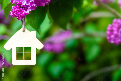 The symbol of the house among the branches of the pink lilac