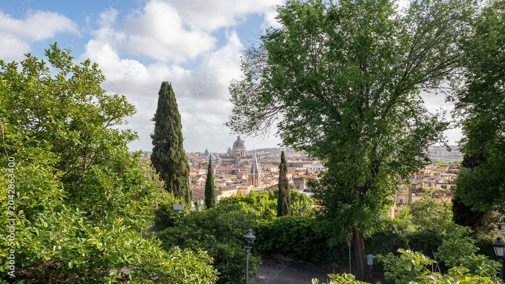Obraz premium Panoramic View of Rome and Cathedral from a Hilltop, Italy