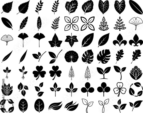 Black Leaf Vector Icons Set featuring Birch Ginkgo Plant Sprout and Floral Silhouettes