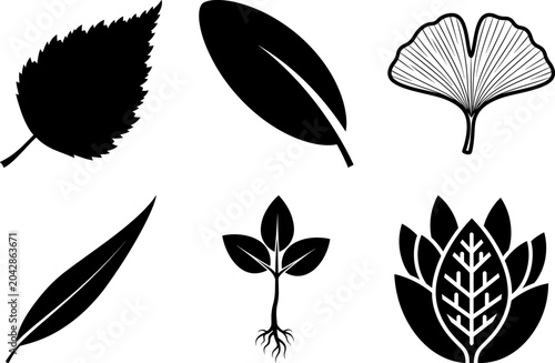 Black Leaf Vector Icons Set featuring Birch Ginkgo Plant Sprout and Floral Silhouettes