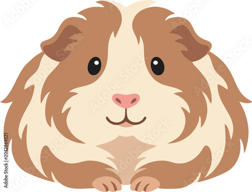 Cute long hair guinea pig character with fluffy fur. Perfect for pet themed concept, animal collections, children design.