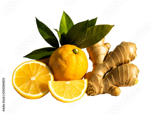 fresh oranges, sliced lemons, ginger root, whole ginger, citrus fruits, lemon wedges, wooden cutting board, green leaves, nat Fresh oranges, lemon slices, and ginger root on wooden surface with leaves
