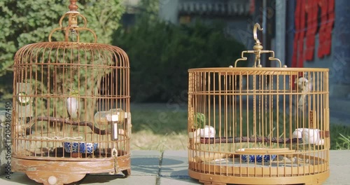 Small Songbirds in Traditional Bamboo Cages Outdoors
