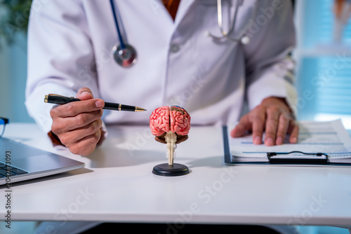 Fotografie Doctor in white coat points at a brain model on a desk in a clinic office, showing neurology, mental health, diagnosis and medical education