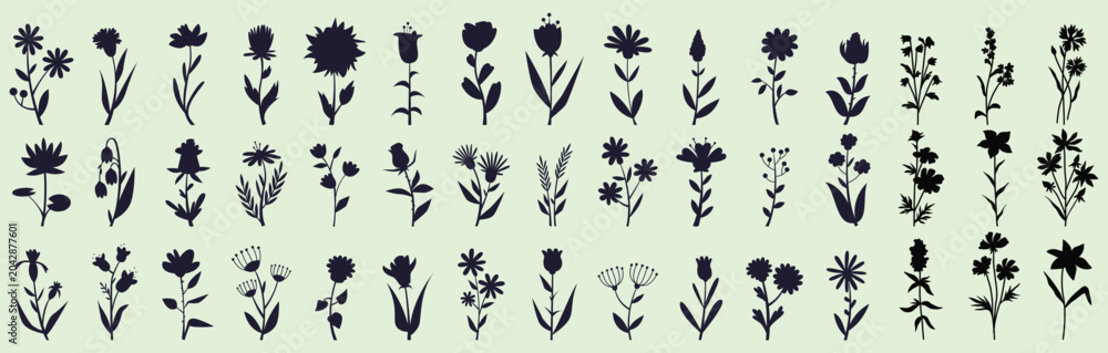 Obraz premium Wildflower silhouette collection with blooming garden flowers and botanical stems. Elegant floral illustration perfect for nature patterns, branding, packaging, textiles, and decorative designs.
