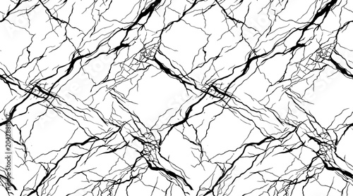 Photos Abstract monochrome network of intertwining branches creating a geometric texture