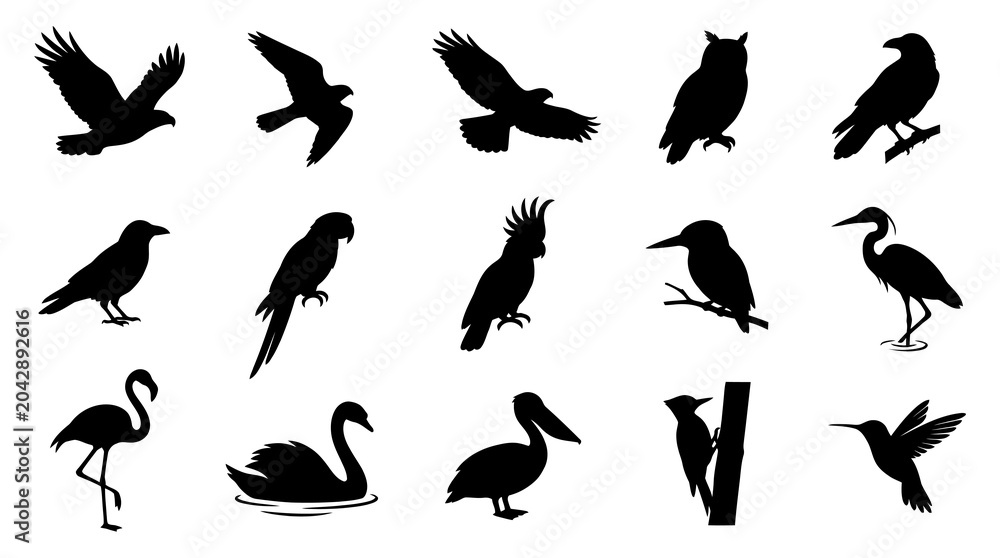 Obraz premium Nature Wildlife Avian Birds Silhouettes Vector Icons Set Various Bird Species Collection