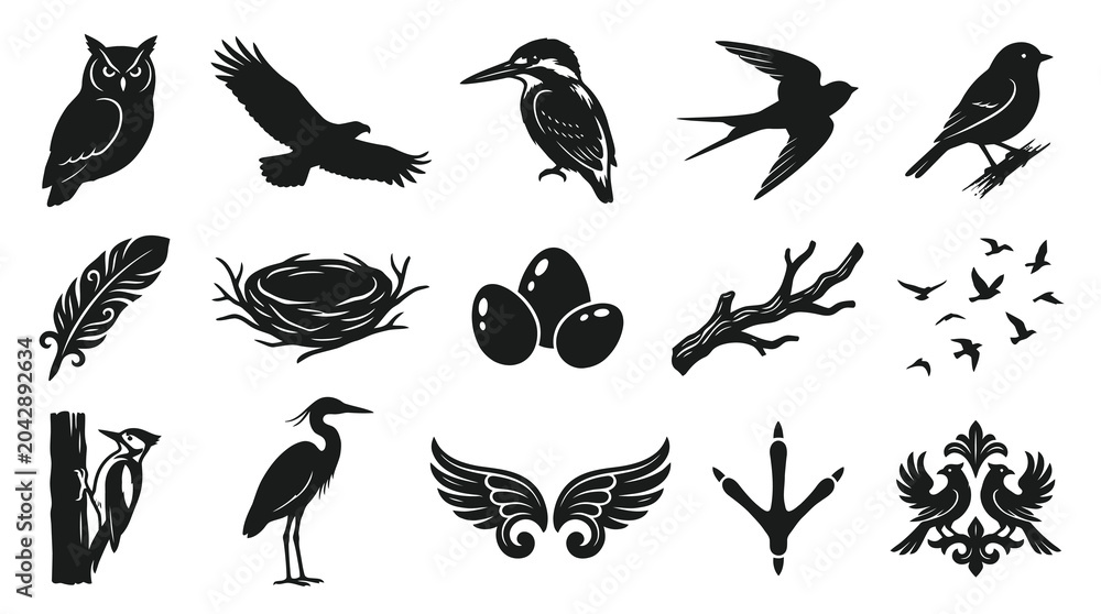 Naklejka premium Bird Silhouettes Icon Set: Owl, Eagle, Kingfisher, Nest, Eggs, Feather, Woodpecker, Crane, Wings, Footprint, Birds Flock, Ornithology Graphics