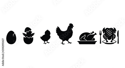 Slika na platnu chicken life cycle stages in black silhouette egg hatch youngster grown up prepp