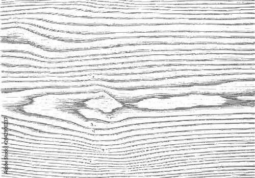 Tableau sur toile A high-contrast black and white featuring the detailed grain patterns and organi