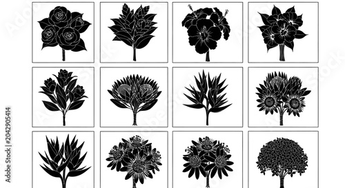 Collection of black and white floral illustrations on a clean white background for design use
