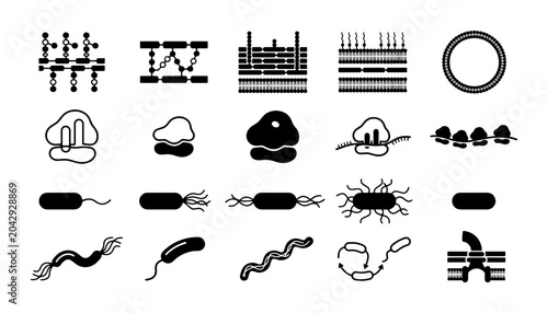 Obraz na plátně Microbiology and bacterial cell structure icons, 20 black vector elements of mic